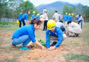Ý tưởng bảo vệ môi trường sáng tạo dành cho giới trẻ