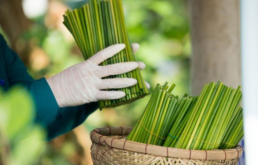 Gia công và hoàn thiện